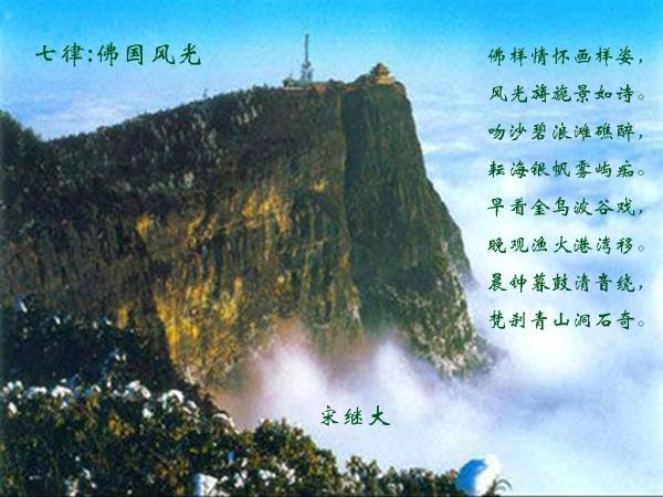 逃离森林湖畔